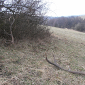 trošku viac šťastia hneď z rána :)