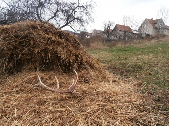 minútová záležitosť :)
