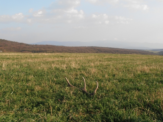 oplatilo sa ísť :)