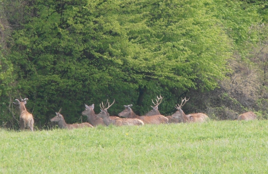 spokojne si ich nosia :)