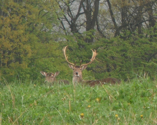 aj taký, aj taký :)