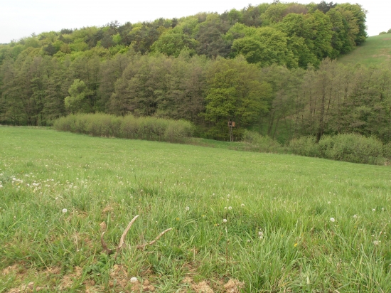 Dnes ráno, prvý z dvoch :)