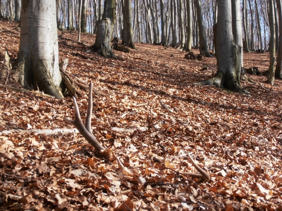 neuložená metrovica :)