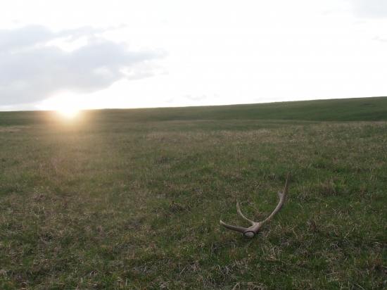 ..už som ani nedúfal..