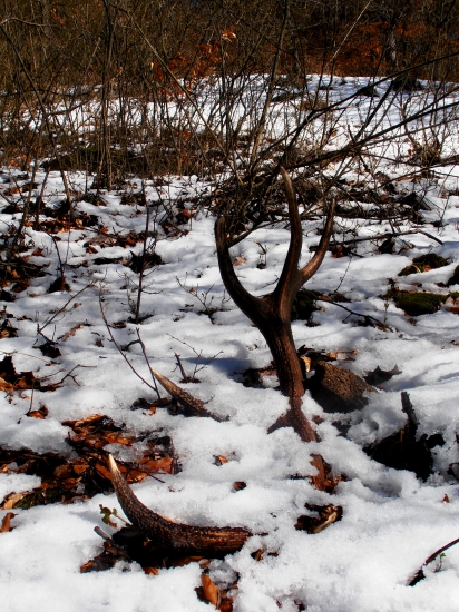 a už je len môj :)