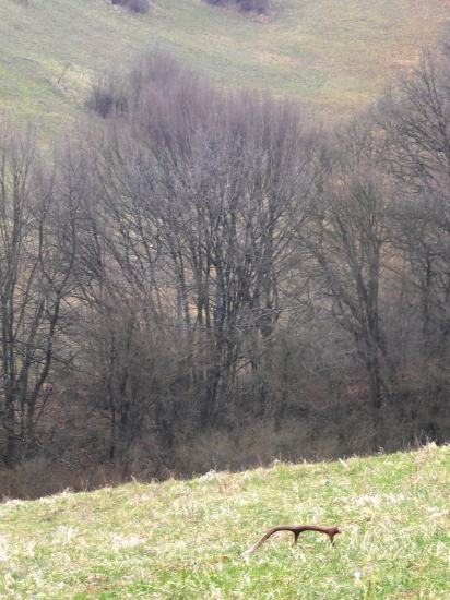 ..z tých posledných..