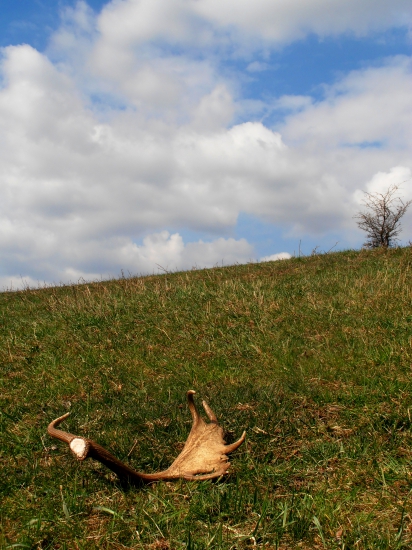 pekná nedeľa za mnou :)