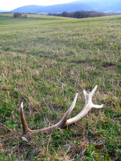 svietil do diaľky :)