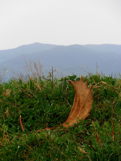 ..jeden upršaný deň..