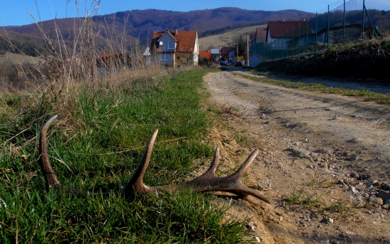 pol - minútová záležitosť :)