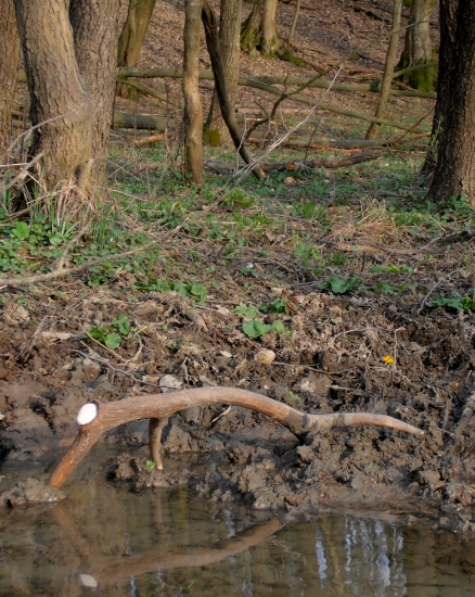 pečať ho prezradila