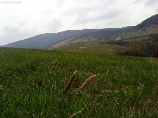 Dnešne rano na luke