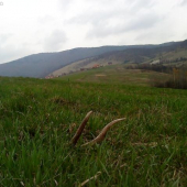 Dnešne rano na luke