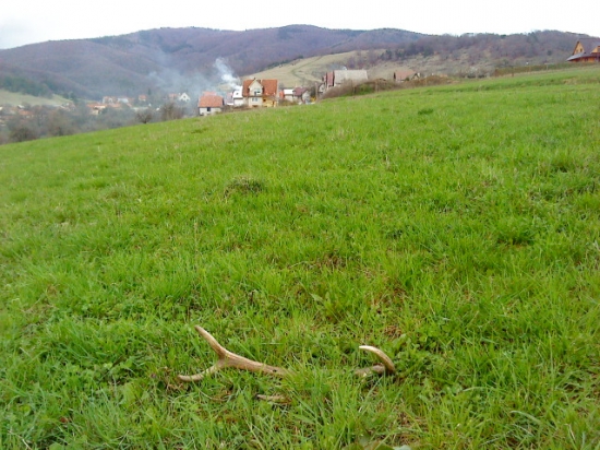 Ďaleko som isť nemusel