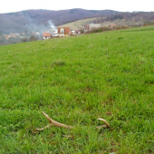 Ďaleko som isť nemusel