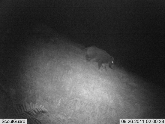 kde som vtedy bol :-)