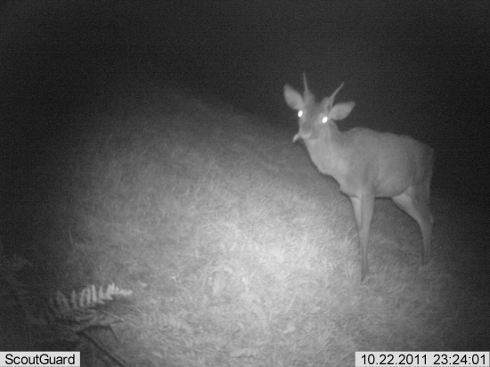 jeden z mála výradových ...