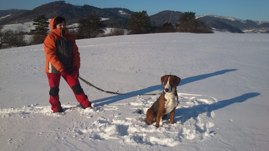 Srbský trojfarebný durič