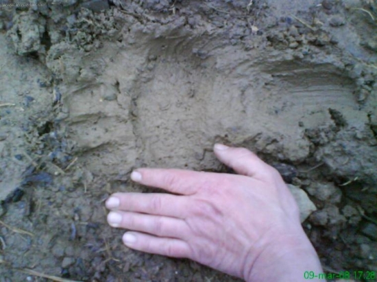 Videli sme ho uchodiť.