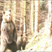 Nedelnajsia prechadzka