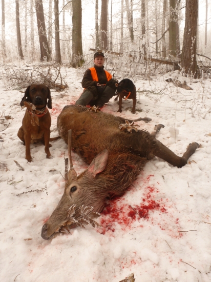 Dohľadávka v Poľane