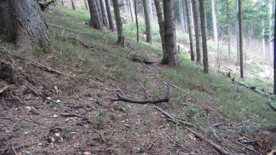 môj druhý toho roku