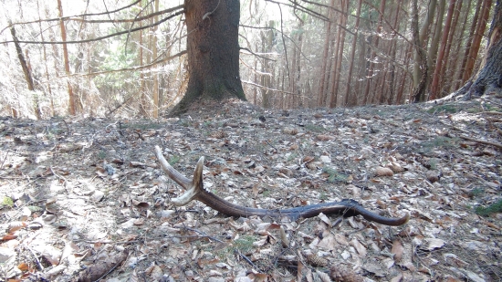 ďalší víkendový