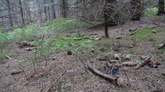 Dalsi najdeny na hubach