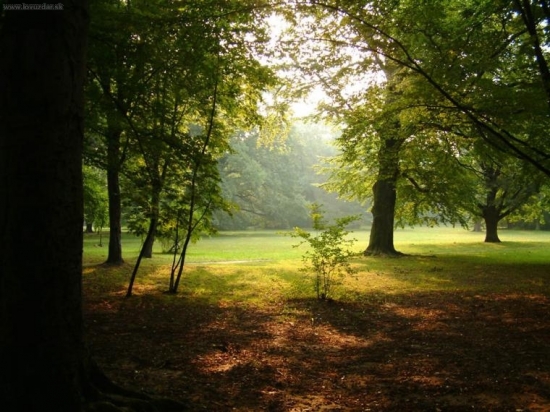 Malý medzi velkými