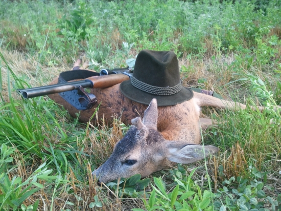 Môj prvý srnček