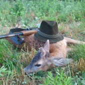 Môj prvý srnček
