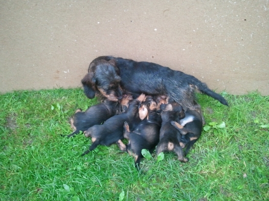 A ja sprosta som si pozor nedavala :)