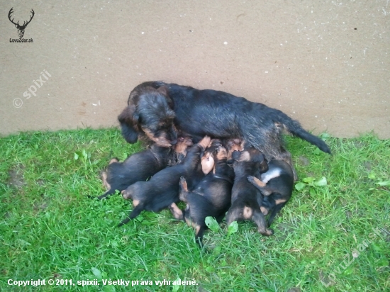 A ja sprosta som si pozor nedavala :)