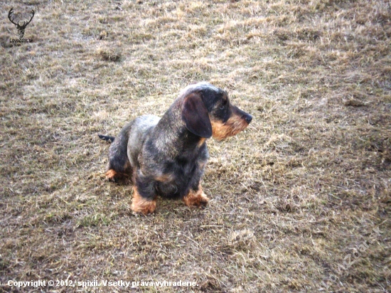 Bessi od Verpánskeho žlabu