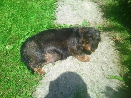 Už len pár dní...