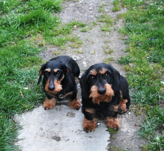 Rici a Artur Arvansis