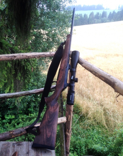 Sauer 100