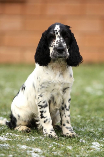 Tamii Bohemia Jewellery