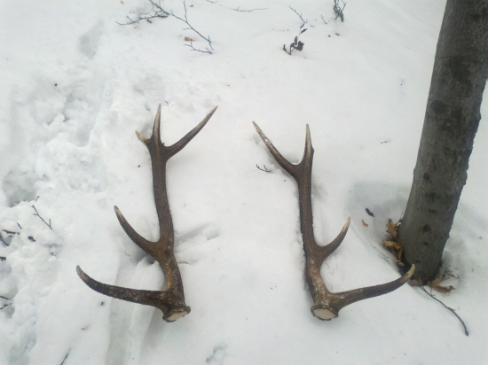 Moje prve tohtoročne