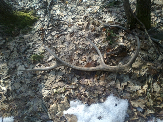 ..doparovany ku kamaratovemu....