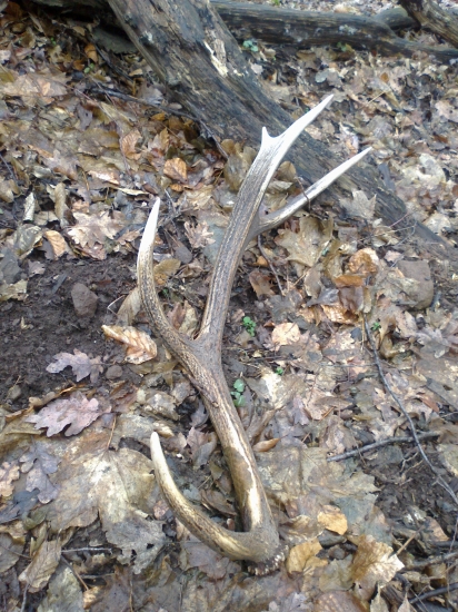 nič nič a na konci hľadania  toto...