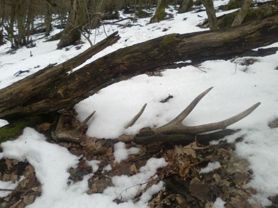 Počkal si na mna...