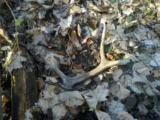 už je to lepšie....