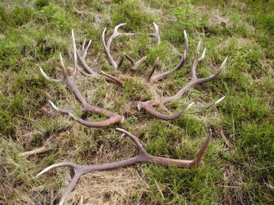 Po celodenom blúdení dvoch