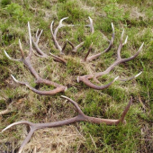 Po celodenom blúdení dvoch