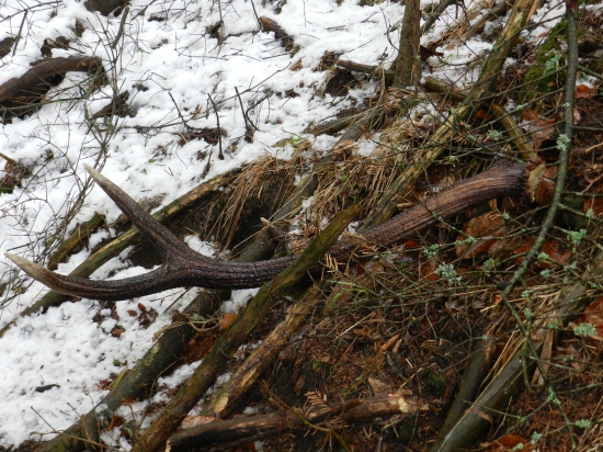 Vlaňajší , ale ako nový