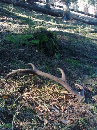 V slnečných lúčoch