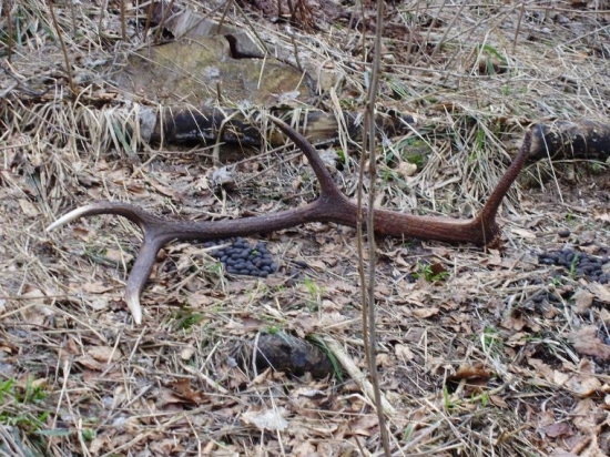 Co zobrat,trus ci zhod?