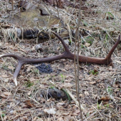 Co zobrat,trus ci zhod?