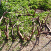 jar 2010,moje vsetky.